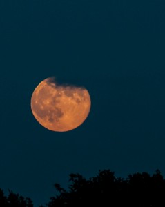 supermoon-006